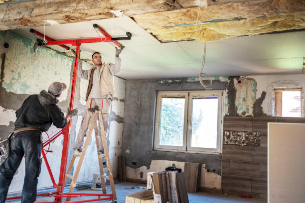 Best Wall Insulation Contractor  in Homewood, AL