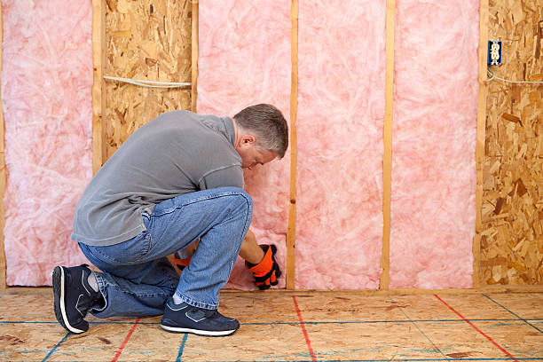 Insulation Repair Services in Homewood, AL